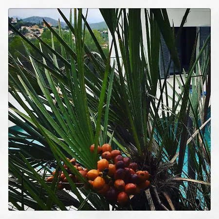 Luxury Sitges Hills